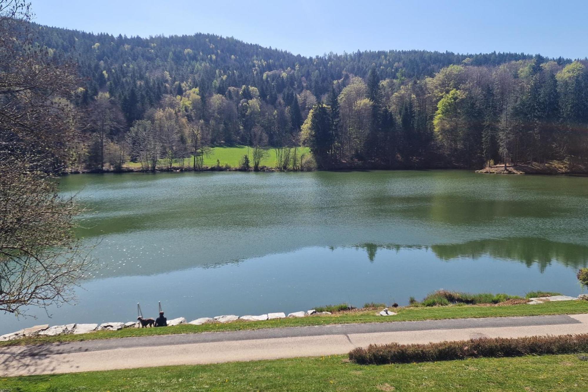 Landgasthof Trattnig Schiefling am See Szoba fotó