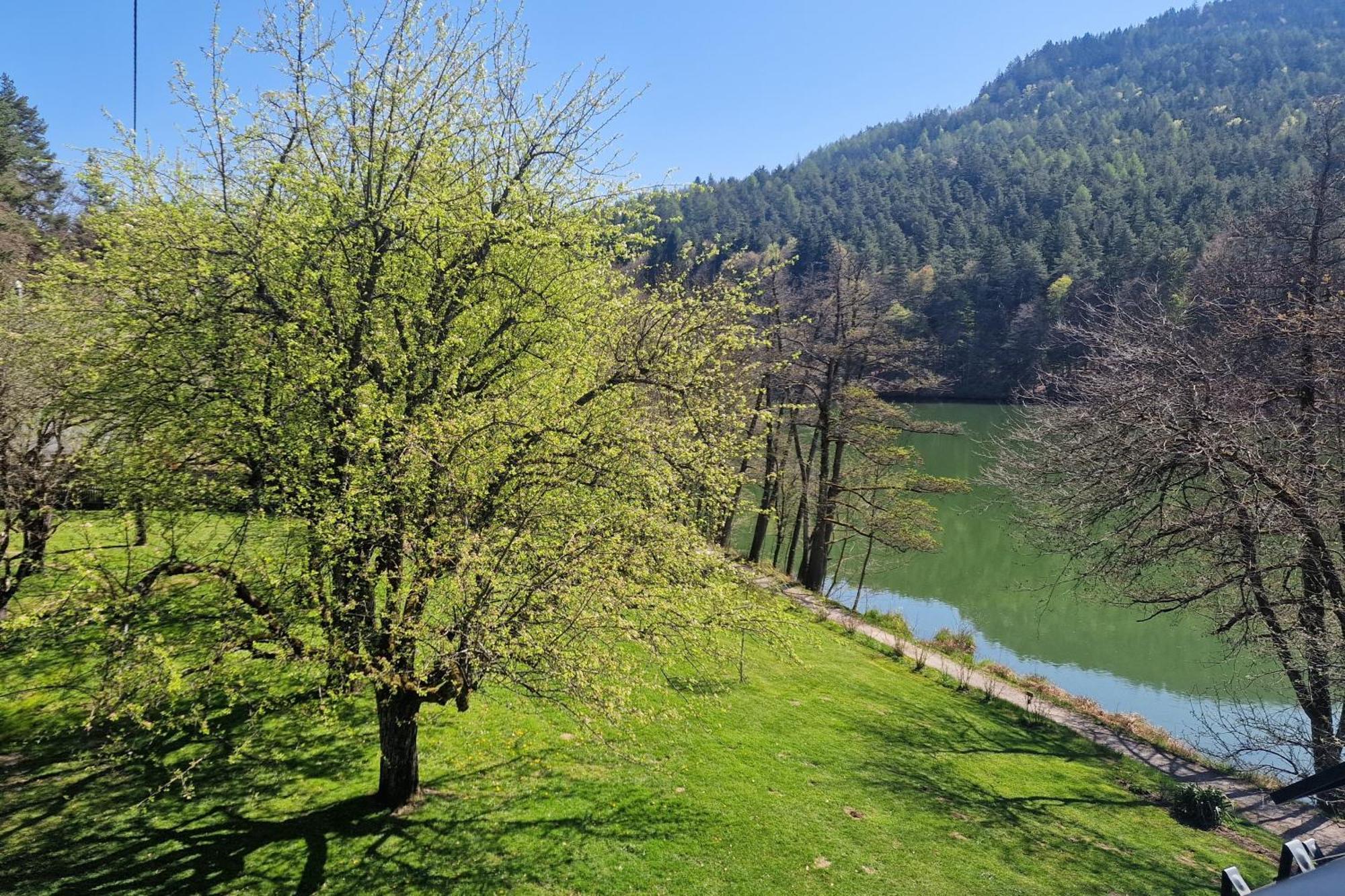 Landgasthof Trattnig Schiefling am See Szoba fotó